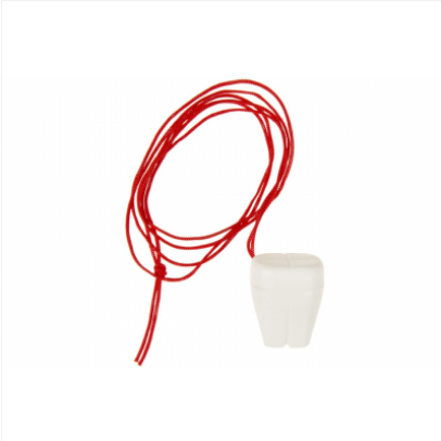 Mini-Zahnbox an Kordel