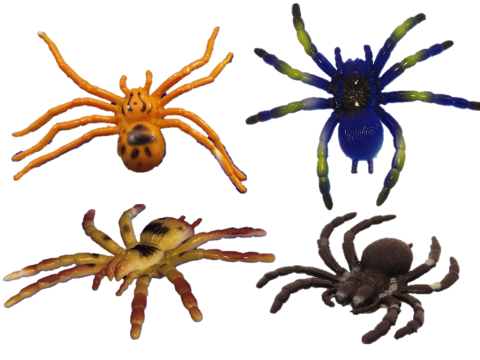 MEGA-Spinnen